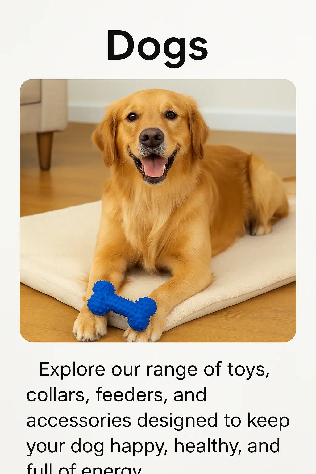Dogs - The Happy Pet Store