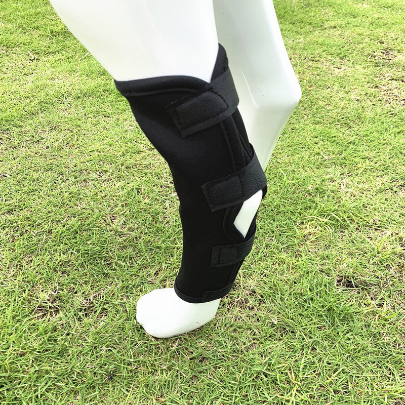 Dog Injury Protection Leggings