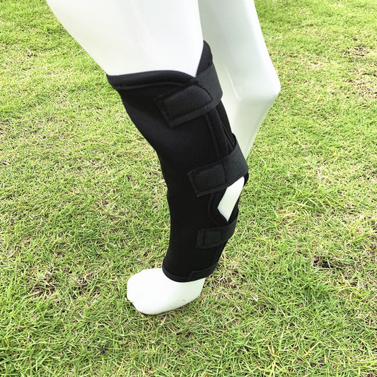Dog Injury Protection Leggings