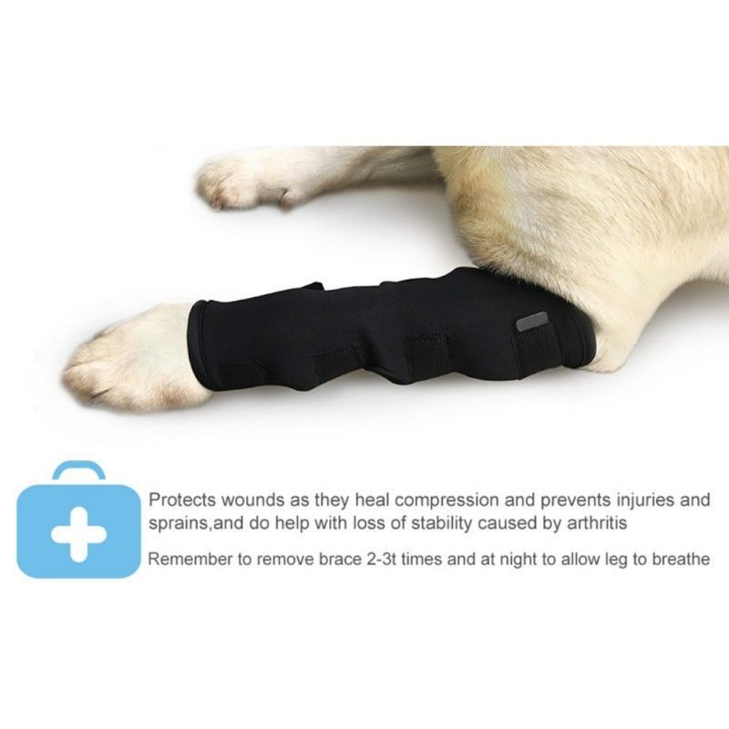 Dog Injury Protection Leggings