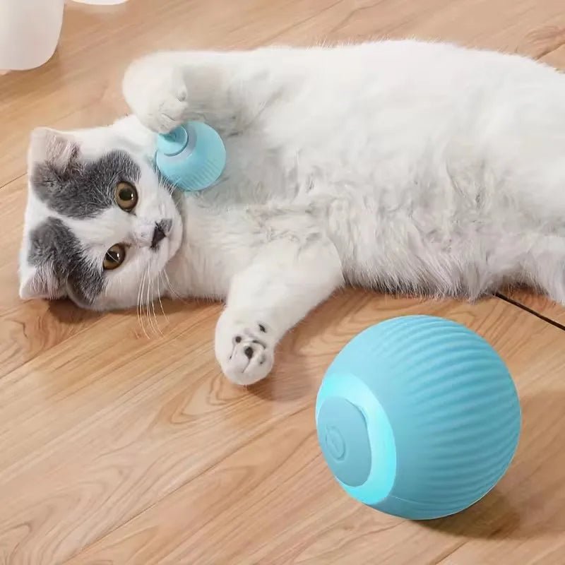 Automatic Moving Cats Toy Interactive Ball Rechargeable Rolling Electric Ball Home Pet Accessories Things for Supplies - The Happy Pet Store