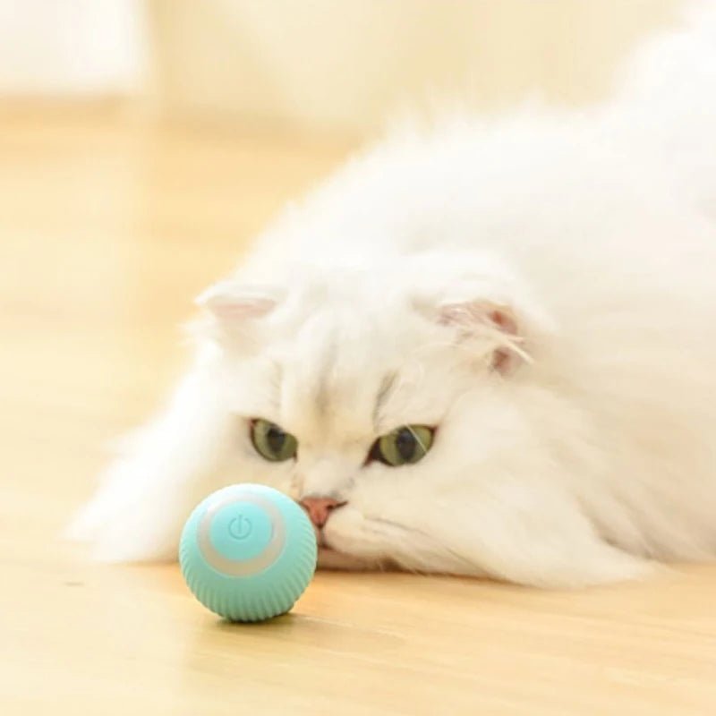 Automatic Moving Cats Toy Interactive Ball Rechargeable Rolling Electric Ball Home Pet Accessories Things for Supplies - The Happy Pet Store
