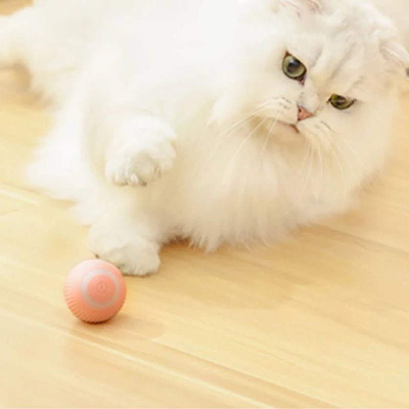 Automatic Moving Cats Toy Interactive Ball Rechargeable Rolling Electric Ball Home Pet Accessories Things for Supplies - The Happy Pet Store