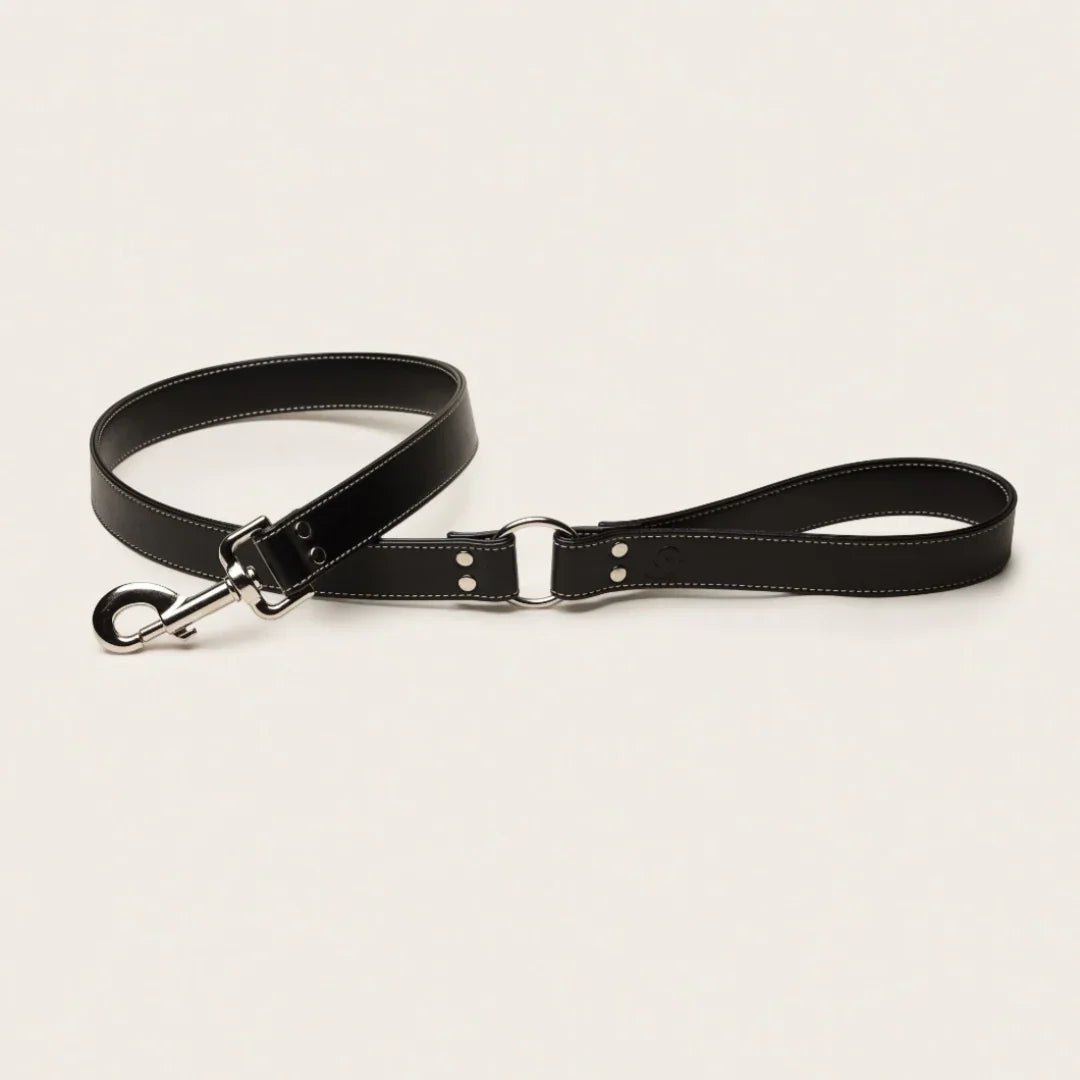 Black apple leather lead - The Happy Pet Store