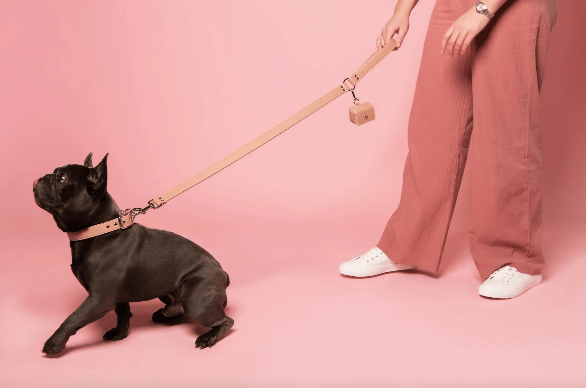 Blush Pink Skylos Set - The Happy Pet Store