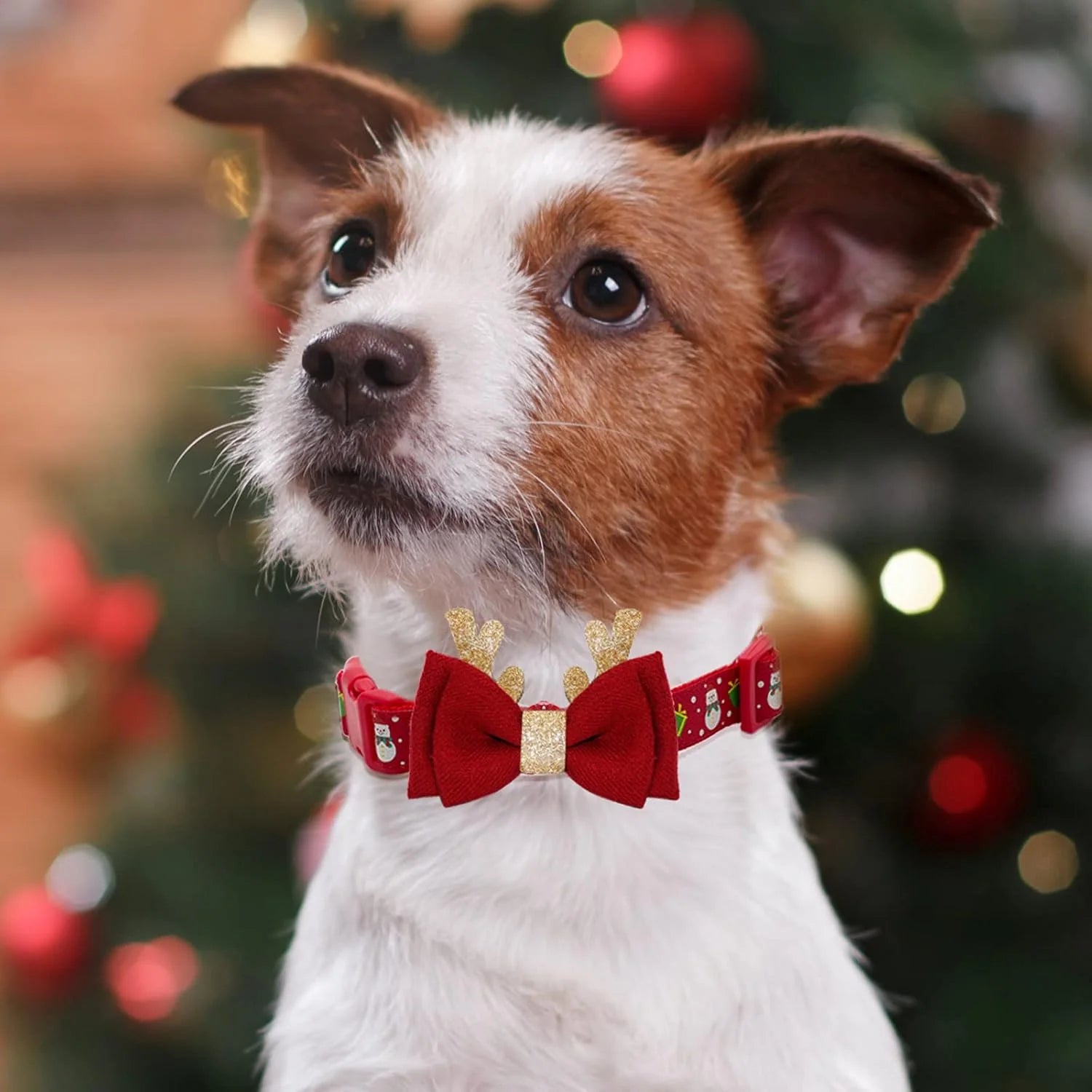 Christmas Dog Collar Adjustable Xmas Dog Collar with Christmas Antler Bow Tie Accessories Snowman Dog Collar for Medium Dogs - The Happy Pet Store