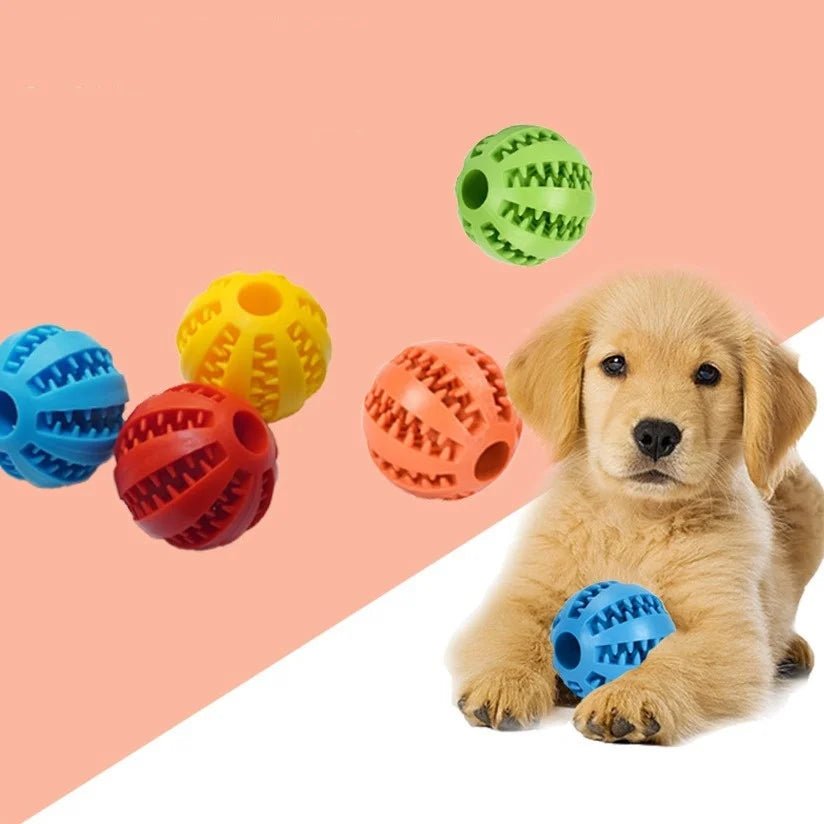 Cross - border pet dog leakage toy balls, teething puzzles, anti - boring and biting training toys - The Happy Pet Store