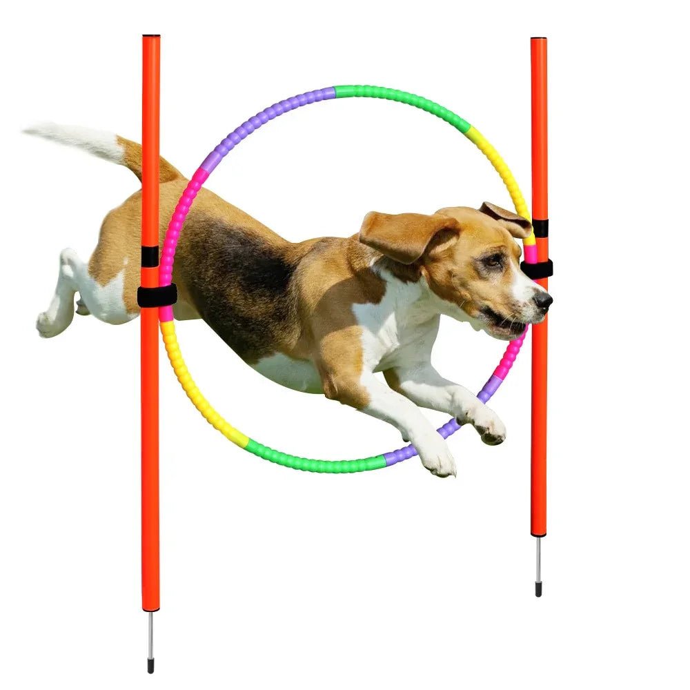 Dog Agility Training Equipment - The Happy Pet Store