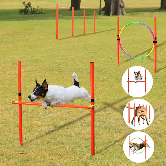 Dog Agility Training Equipment - The Happy Pet Store