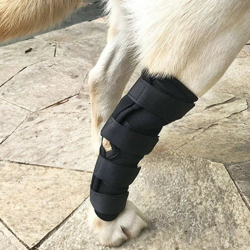 Dog Leggings Injury Prevention Licking - The Happy Pet Store