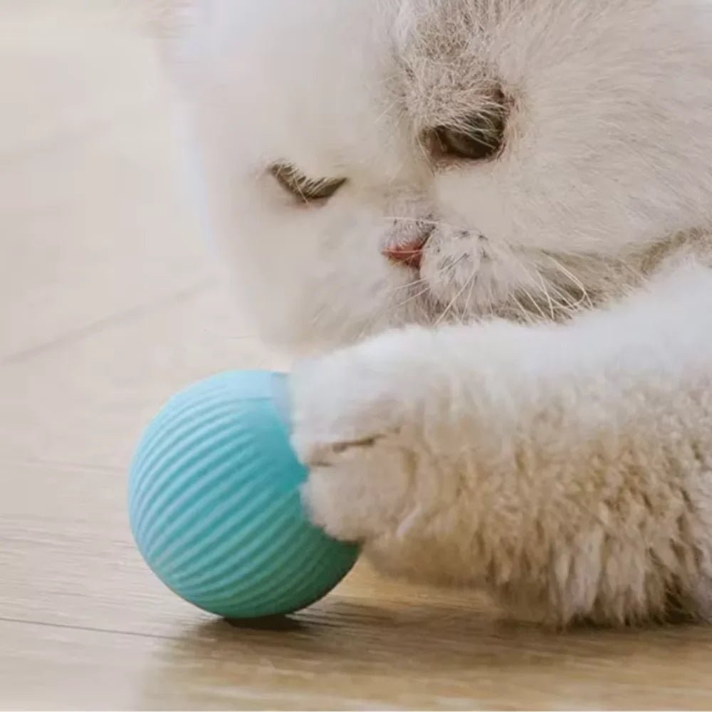 Electric Cat Ball Toys Automatic Rolling Smart Cat Toys Interactive for Cats Training Self - moving Kitten Toys for Indoor Playing - The Happy Pet Store