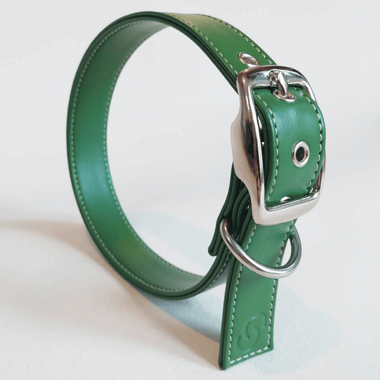 Forest green vegan apple leather dog collar - The Happy Pet Store