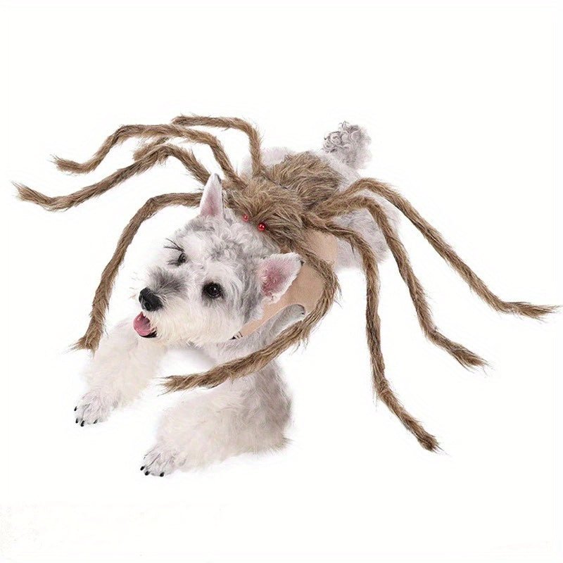 Halloween Pet Spider Costume - Funny Transforming Dog & Cat Outfit with Web Design, Gray/Brown/Black/Purple, Sizes S/M/L,, Perfect for Halloween Parties, Halloween Costumes - The Happy Pet Store