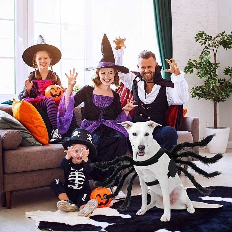 Halloween Spider Costume for Cats and Small/Medium Dogs - Fun and Festive Pet Dress Up - The Happy Pet Store