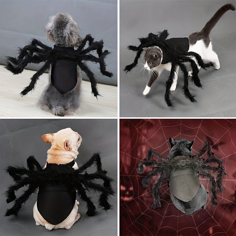 Halloween Spider Costume for Cats and Small/Medium Dogs - Fun and Festive Pet Dress Up - The Happy Pet Store