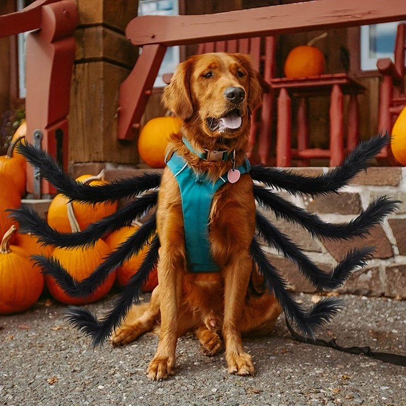 Halloween Spider Costume for Cats and Small/Medium Dogs - Fun and Festive Pet Dress Up - The Happy Pet Store