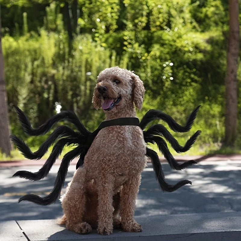 Halloween Spider Costume for Cats and Small/Medium Dogs - Fun and Festive Pet Dress Up - The Happy Pet Store