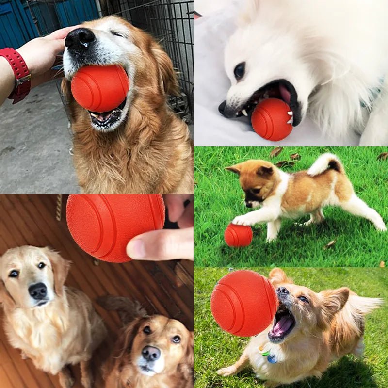 HOOPET Dog Toy Rubber Ball Bite - resistant Ball Toy for Dogs Puppy Teddy Pitbull Red Color Solid Ball S - XL Pet Supplies - The Happy Pet Store