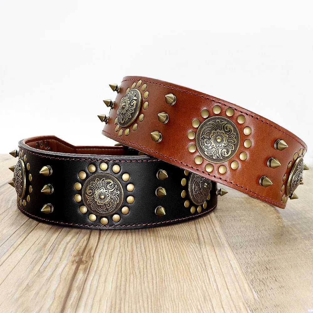 Leather Dog Collars - The Happy Pet Store