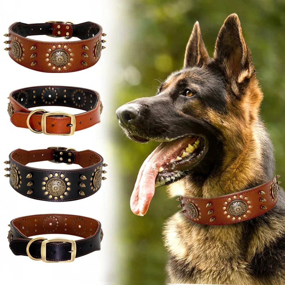 Leather Dog Collars - The Happy Pet Store