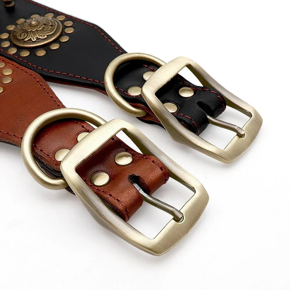 Leather Dog Collars - The Happy Pet Store