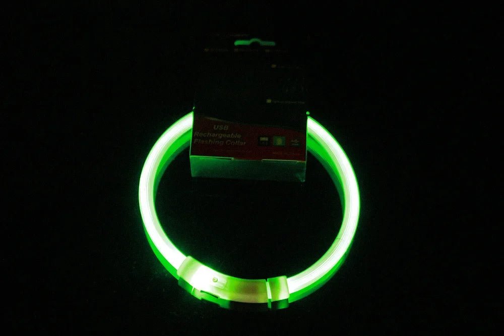 Led Dog COLLAR USB Rechargeable Glowing Collar Night Visibility Reflective Waterproof Adjustable Strap For Dogs Small Medium Lar - The Happy Pet Store