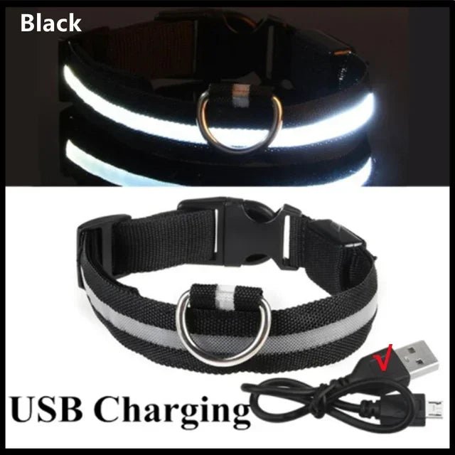 LED Glowing Dog Collar Adjustable Flashing Rechargea Luminous Collar Night Anti - Lost Dog Light HarnessFor Small Dog Pet Products - The Happy Pet Store