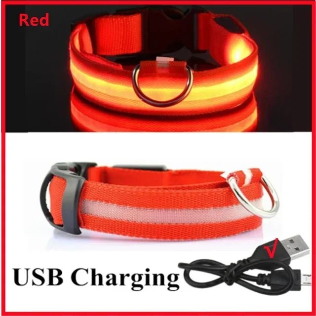 LED Glowing Dog Collar Adjustable Flashing Rechargea Luminous Collar Night Anti - Lost Dog Light HarnessFor Small Dog Pet Products - The Happy Pet Store
