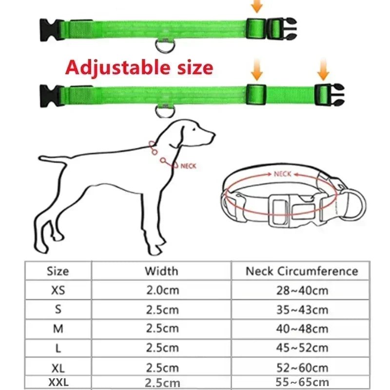 LED Glowing Dog Collar Adjustable Flashing Rechargea Luminous Collar Night Anti - Lost Dog Light HarnessFor Small Dog Pet Products - The Happy Pet Store