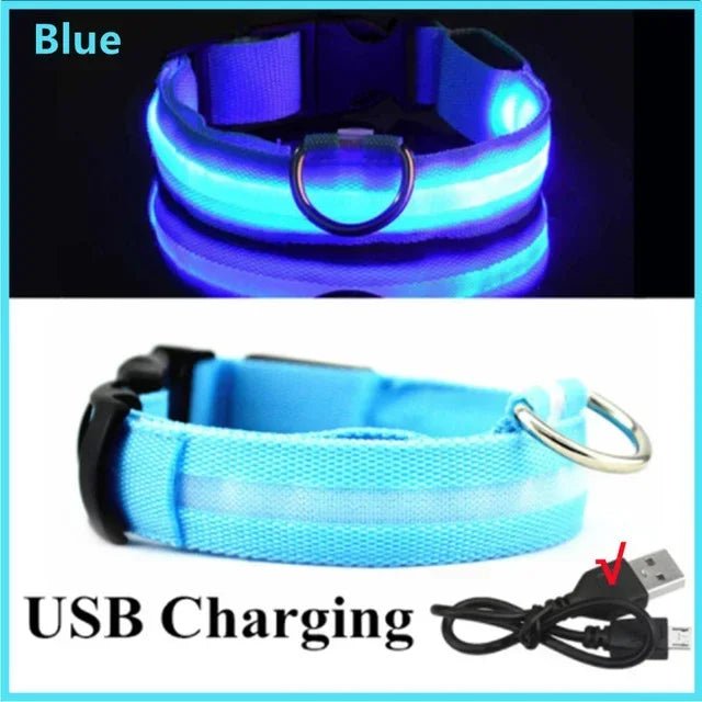 LED Glowing Dog Collar Adjustable Flashing Rechargea Luminous Collar Night Anti - Lost Dog Light HarnessFor Small Dog Pet Products - The Happy Pet Store