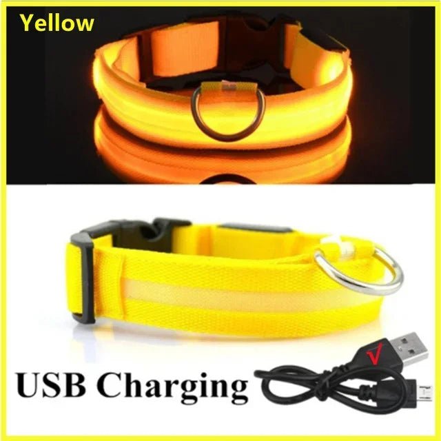 LED Glowing Dog Collar Adjustable Flashing Rechargea Luminous Collar Night Anti - Lost Dog Light HarnessFor Small Dog Pet Products - The Happy Pet Store