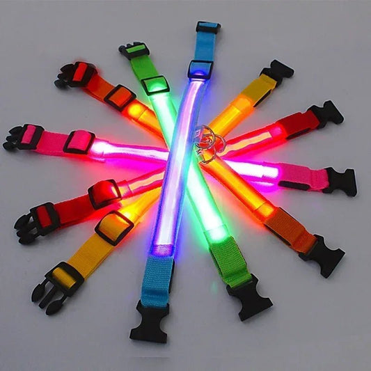 LED Glowing Dog Collar Adjustable Flashing Rechargea Luminous Collar Night Anti - Lost Dog Light HarnessFor Small Dog Pet Products - The Happy Pet Store