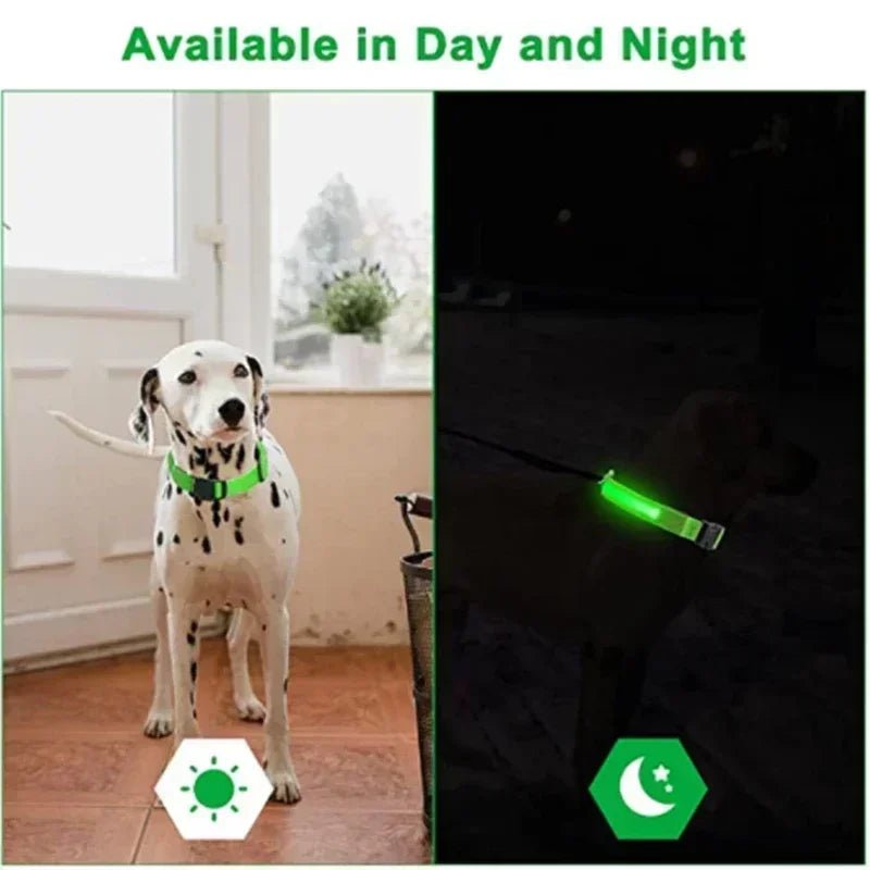 LED Glowing Dog Collar Adjustable Flashing Rechargea Luminous Collar Night Anti - Lost Dog Light HarnessFor Small Dog Pet Products - The Happy Pet Store