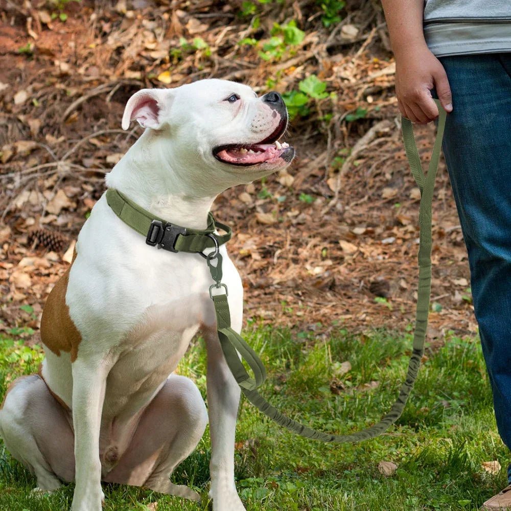 Military Tactical Dog Collar & Leash - The Happy Pet Store