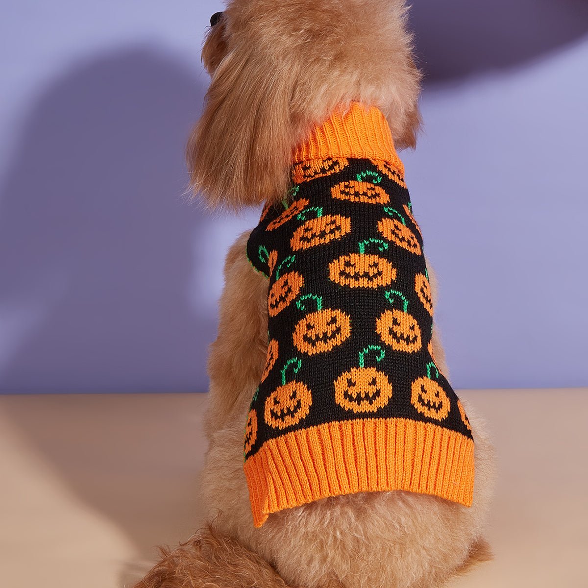 Pet Halloween Sweater - Pumpkin Face & Jack - o' - Lantern Print Pullover for Small/Medium Dogs, Machine Washable Orange & Black Festive Dog Sweater for Fall & Costume Parties, Halloween Accessories, Knitted Texture - The Happy Pet Store
