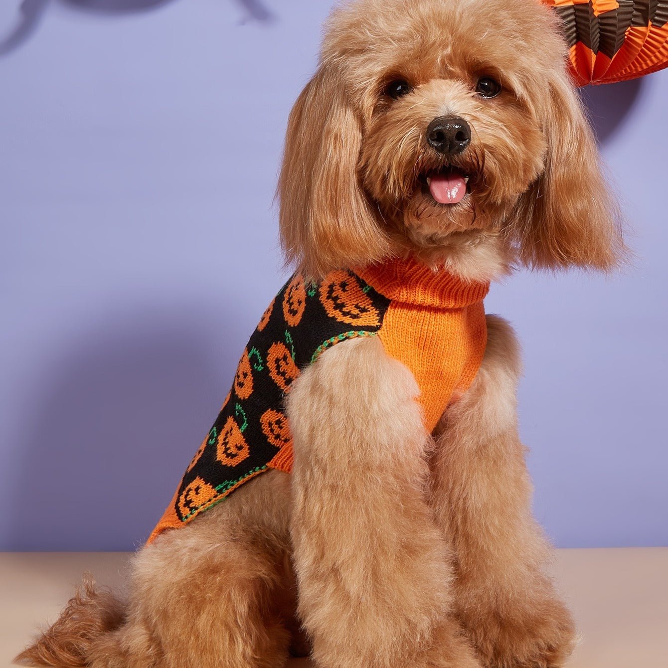 Pet Halloween Sweater - Pumpkin Face & Jack - o' - Lantern Print Pullover for Small/Medium Dogs, Machine Washable Orange & Black Festive Dog Sweater for Fall & Costume Parties, Halloween Accessories, Knitted Texture - The Happy Pet Store
