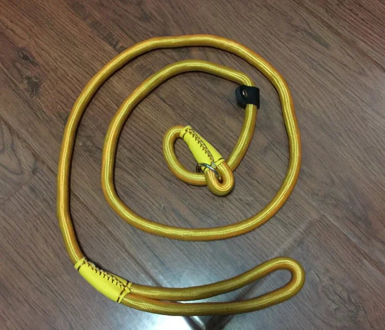 Pet leash dog leash dog chain - The Happy Pet Store