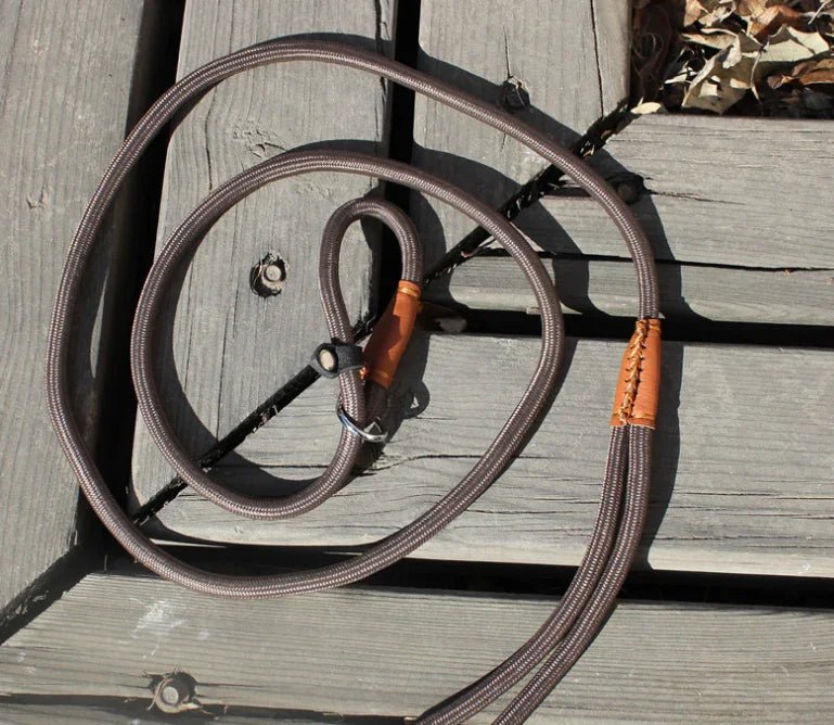 Pet leash dog leash dog chain - The Happy Pet Store