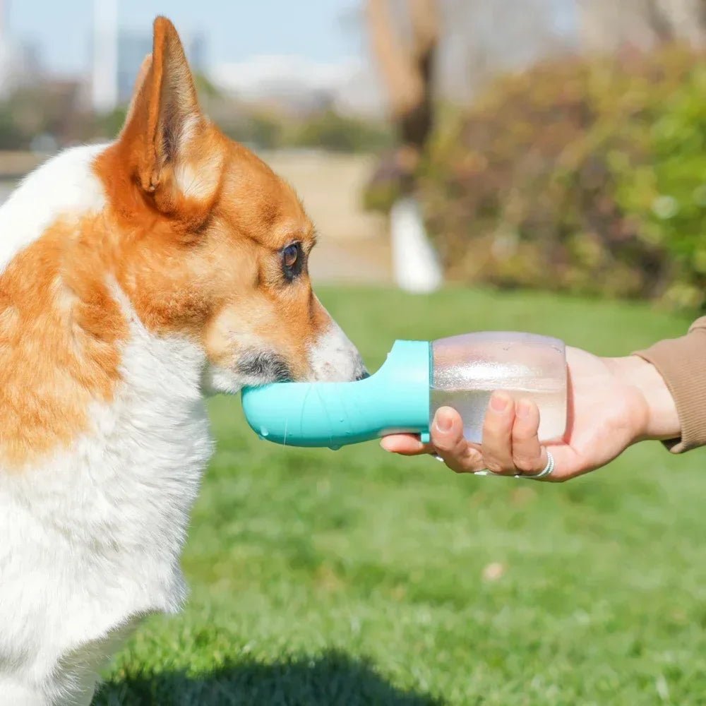 Portable Pet Dog Water Bottle Hiking Outdoor Leakproof Puppy Drinking Bowls for Small Medium Large Dogs Cats Chihuahua Supplies - The Happy Pet Store