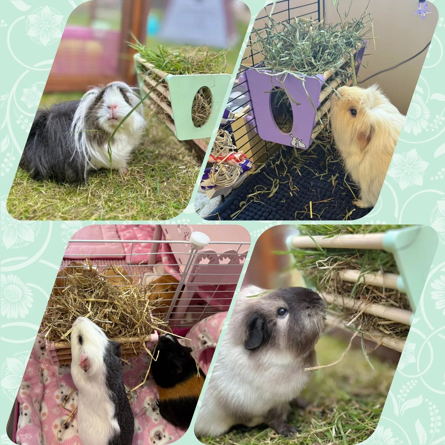 SINGLE Cage Mounted Hay Rack - Sky Blue - The Happy Pet Store
