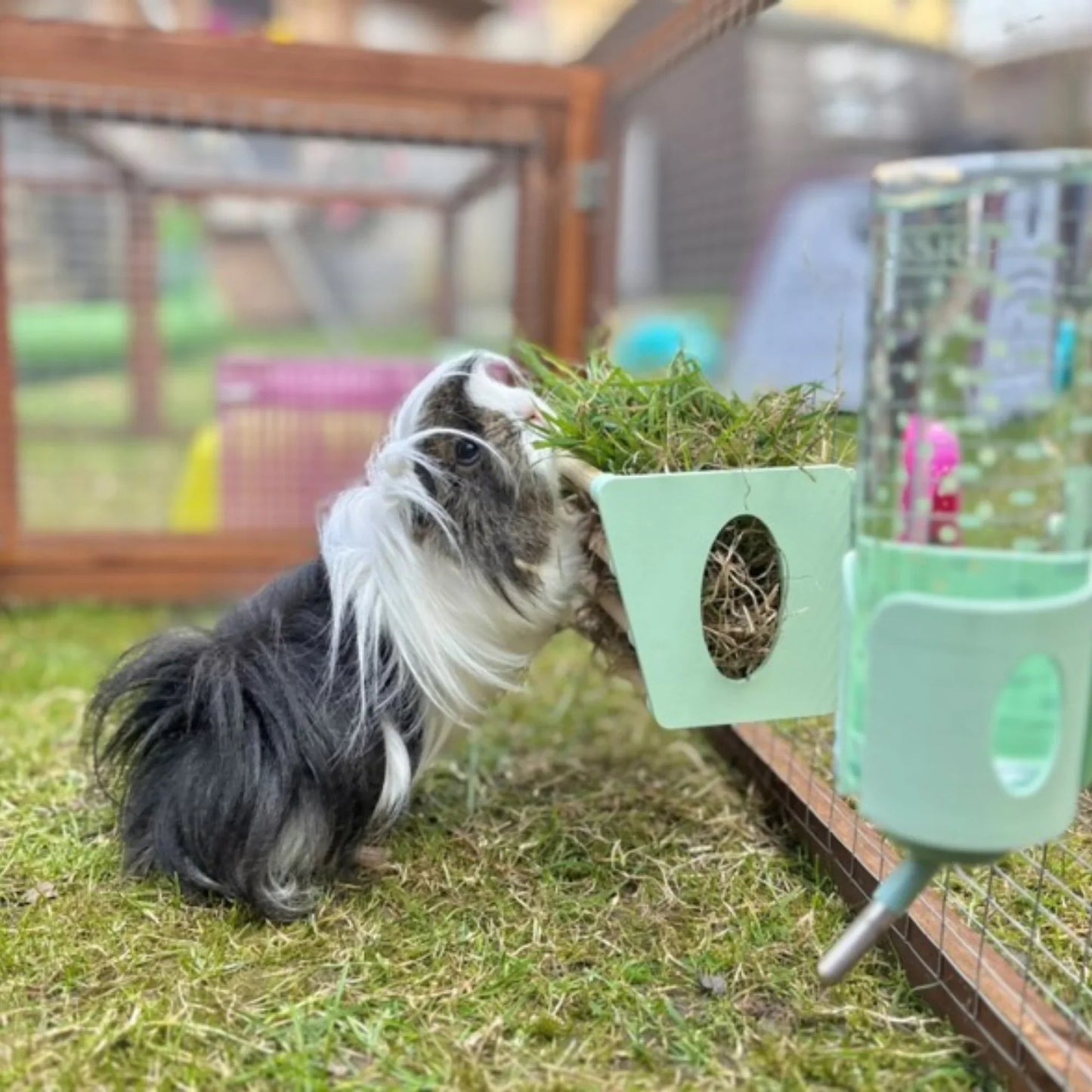 SINGLE Cage Mounted Hay Rack - Sky Blue - The Happy Pet Store