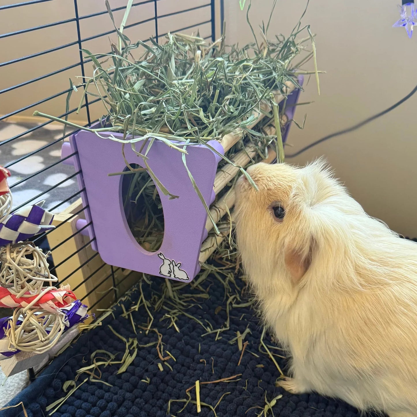 SINGLE Cage Mounted Hay Rack - Sky Blue - The Happy Pet Store