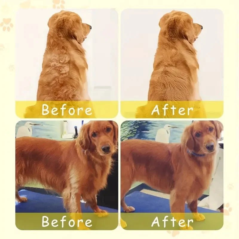 Steamy Dog Brush Electric Spray Cat Hair Brush 3 In1 Dog Steamer Brush for Massage Pet Grooming Removing Tangled and Loose Hair - The Happy Pet Store