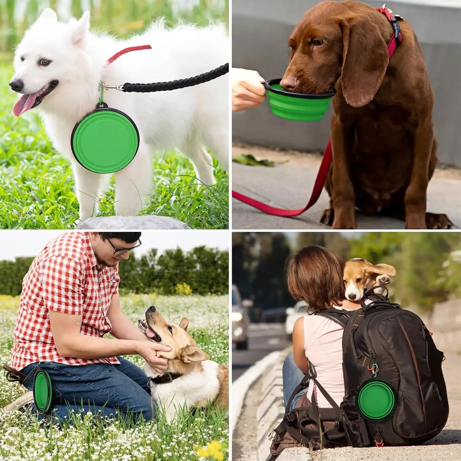 TPR Foldable Dog Bowl | Collapsible Pet Food Water Dish | Flexible, BPA - Free & Portable for Travel - The Happy Pet Store