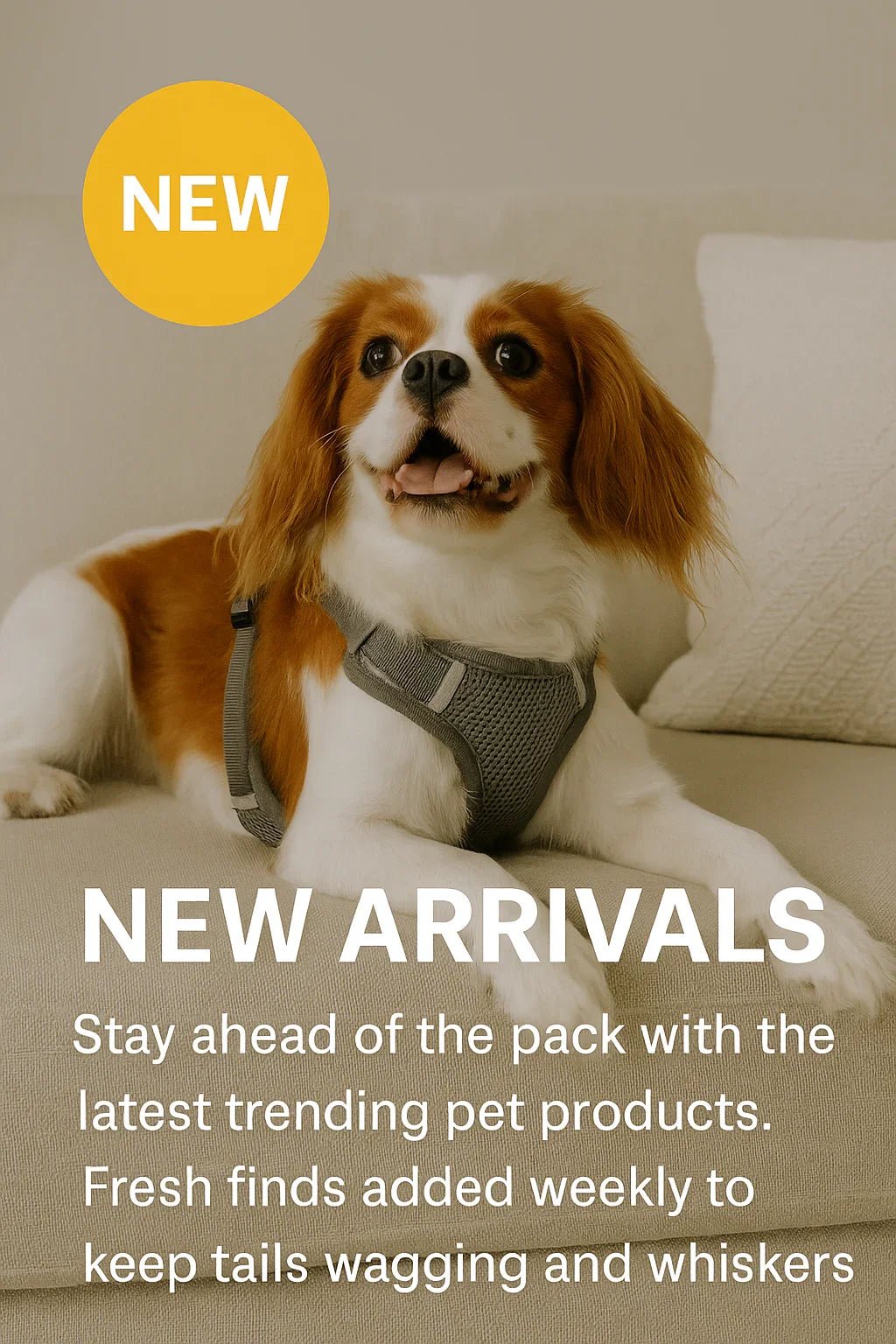 New Arrivals - The Happy Pet Store