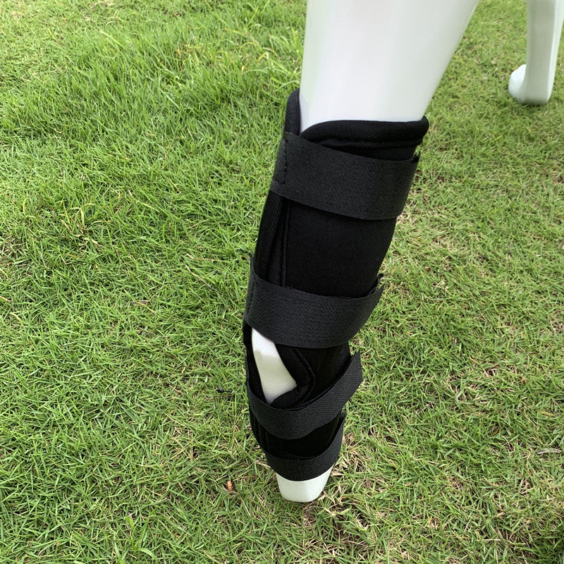 Dog Injury Protection Leggings