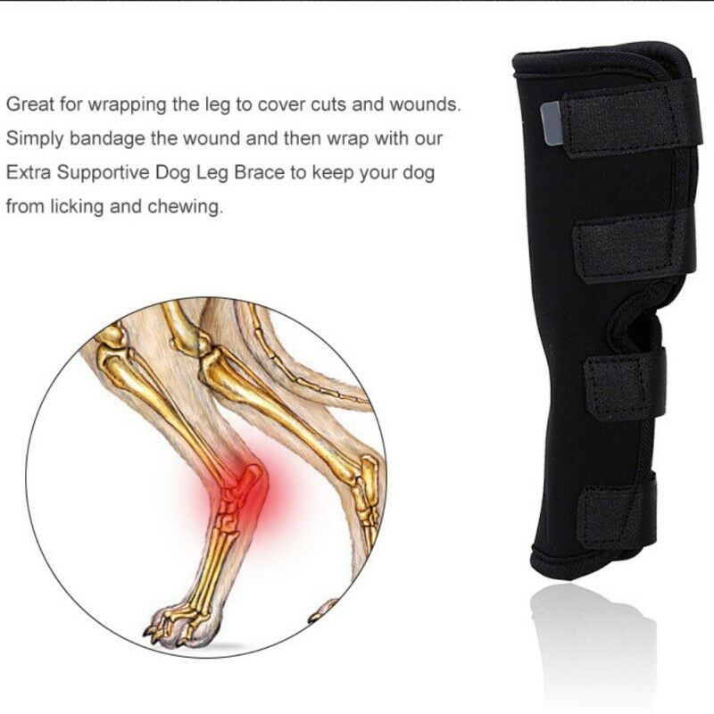 Dog Injury Protection Leggings