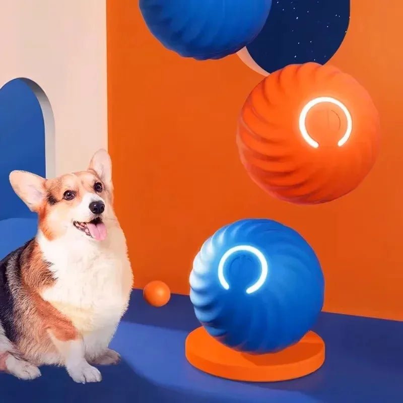 1pcs Dog Toys Intelligent Gravity Jump Ball Rechargeable Bite - Resistant Rolling Ball Cat And Dog Chase Interactive Pet Toys - The Happy Pet Store