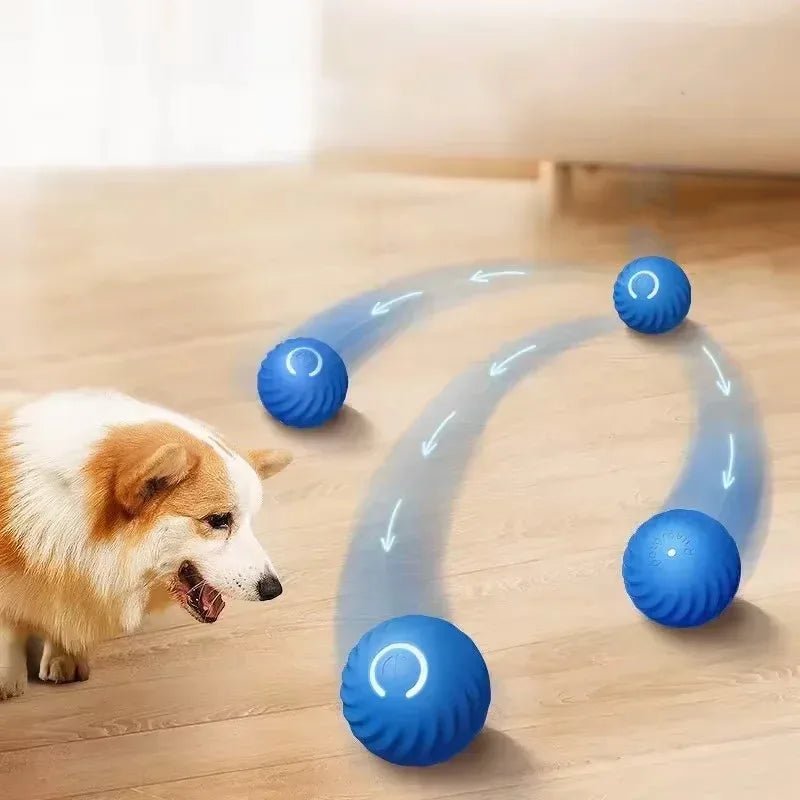 1pcs Dog Toys Intelligent Gravity Jump Ball Rechargeable Bite - Resistant Rolling Ball Cat And Dog Chase Interactive Pet Toys - The Happy Pet Store