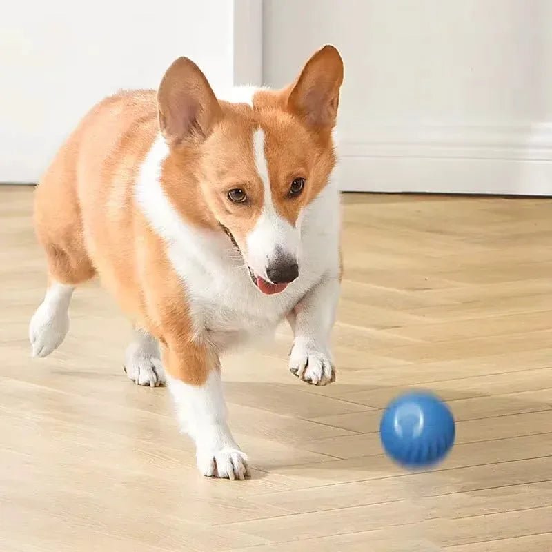 1pcs Dog Toys Intelligent Gravity Jump Ball Rechargeable Bite - Resistant Rolling Ball Cat And Dog Chase Interactive Pet Toys - The Happy Pet Store